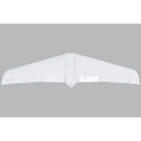 E-Flite Painted Wing, V1200