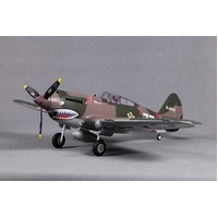 P-40B 980mm Flying Tiger PNP