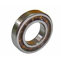 FORCE 12 BEARING