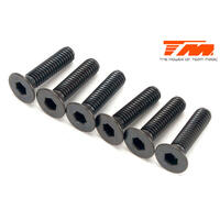 3.5x14mm Steel FH Screw (6)