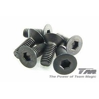 3x8mm Steel F.H. Screw (6)